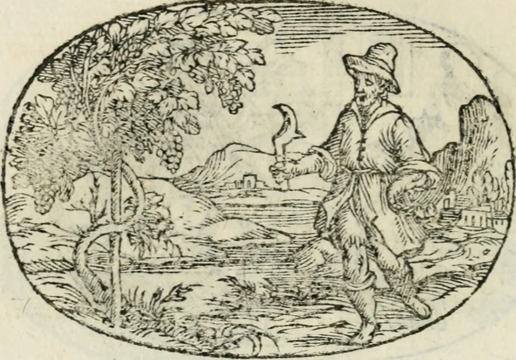 An illustration from Gli apologi di Giulio Cesare Capaccio, secretario della fedelissima città di Napoli : con le Dicerie morali, 1607, leaf 67