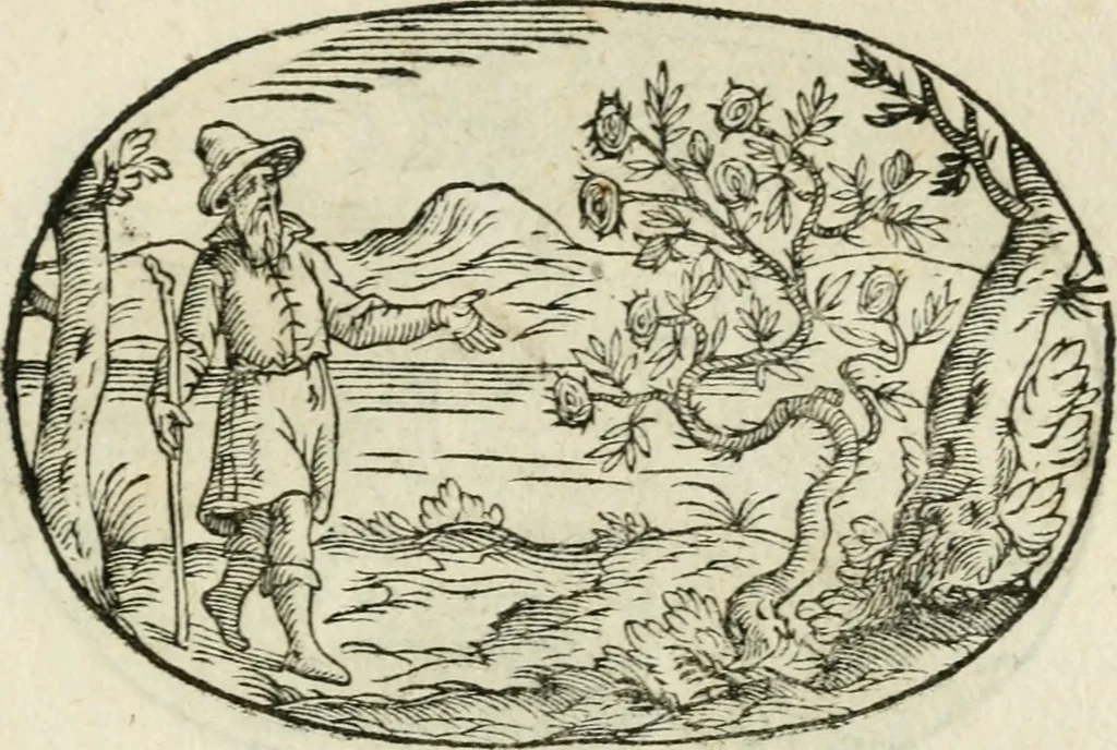 An illustration from Gli apologi di Giulio Cesare Capaccio, secretario della fedelissima città di Napoli : con le Dicerie morali, 1607, leaf 76
