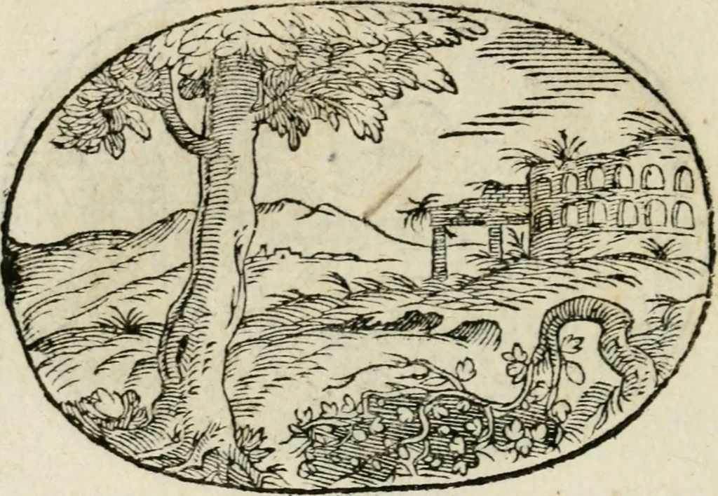 An illustration from Gli apologi di Giulio Cesare Capaccio, secretario della fedelissima città di Napoli : con le Dicerie morali, 1607, leaf 77