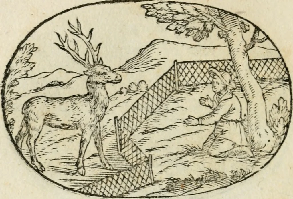 An illustration from Gli apologi di Giulio Cesare Capaccio, secretario della fedelissima città di Napoli : con le Dicerie morali, 1607, leaf 91