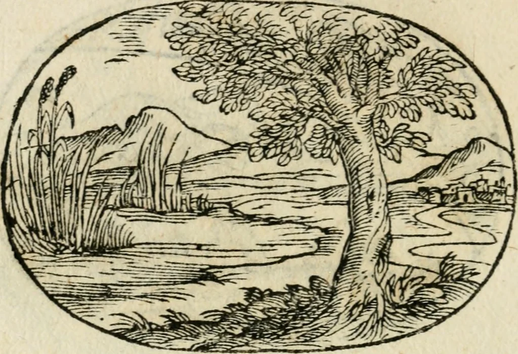 An illustration from Gli apologi di Giulio Cesare Capaccio, secretario della fedelissima città di Napoli : con le Dicerie morali, 1607, leaf 93