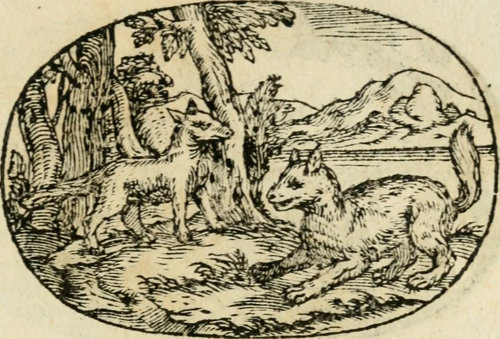 An illustration from Gli apologi di Giulio Cesare Capaccio, secretario della fedelissima città di Napoli : con le Dicerie morali, 1607, leaf 96