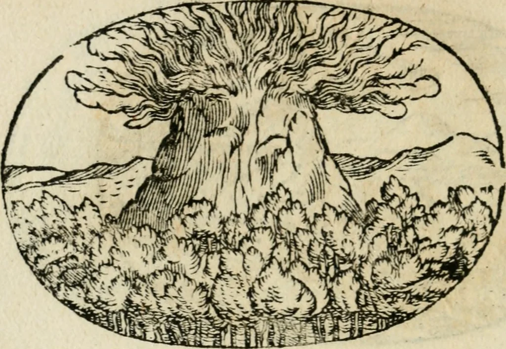 An illustration from Gli apologi di Giulio Cesare Capaccio, secretario della fedelissima città di Napoli : con le Dicerie morali, 1607, leaf 99