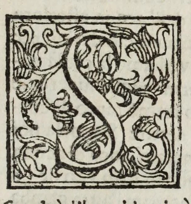 An illustration from Gli artificiosi e curiosi moti spiritali de Herone, 1647, leaf 25