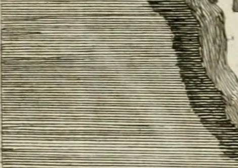 An illustration from Gli atti e monumenti de' fratelli Arvali : scolpiti già in tavole di marmo ed ora raccolti diciferati e comentati, 1795, leaf 195