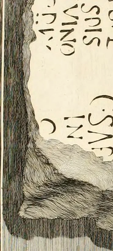 An illustration from Gli atti e monumenti de' fratelli Arvali : scolpiti già in tavole di marmo ed ora raccolti diciferati e comentati, 1795, leaf 82