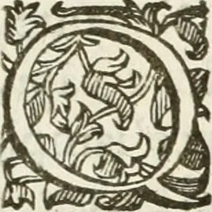 An illustration from Gli encomii delle Sagre Corone esplicati dal sig. Gio. Andrea Rota con diuersi componim.ti per la coronatione di Nostra Signora del Soccorso, seguita in Bologna l'anno MDCXIII per mano del card. Maffeo Barberino, 1633, leaf 10