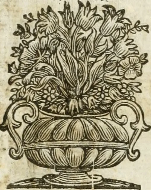 An illustration from Gli encomii delle Sagre Corone esplicati dal sig. Gio. Andrea Rota con diuersi componim.ti per la coronatione di Nostra Signora del Soccorso, seguita in Bologna l'anno MDCXIII per mano del card. Maffeo Barberino, 1633, leaf 14