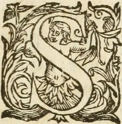 An illustration from Gli encomii delle Sagre Corone esplicati dal sig. Gio. Andrea Rota con diuersi componim.ti per la coronatione di Nostra Signora del Soccorso, seguita in Bologna l'anno MDCXIII per mano del card. Maffeo Barberino, 1633, leaf 18