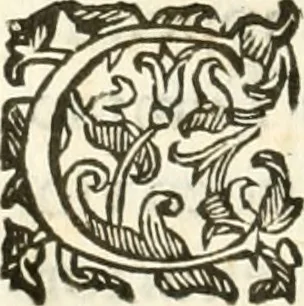 An illustration from Gli encomii delle Sagre Corone esplicati dal sig. Gio. Andrea Rota con diuersi componim.ti per la coronatione di Nostra Signora del Soccorso, seguita in Bologna l'anno MDCXIII per mano del card. Maffeo Barberino, 1633, leaf 71