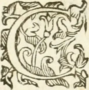An illustration from Gli encomii delle Sagre Corone esplicati dal sig. Gio. Andrea Rota con diuersi componim.ti per la coronatione di Nostra Signora del Soccorso, seguita in Bologna l'anno MDCXIII per mano del card. Maffeo Barberino, 1633, leaf 9