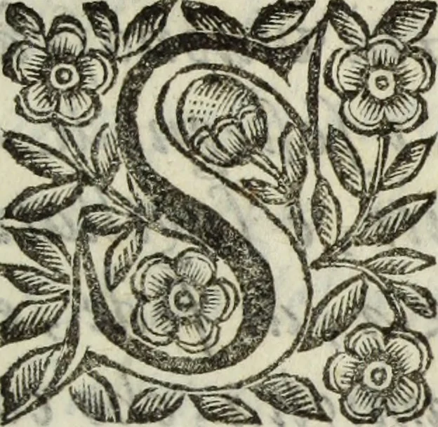 An illustration from Gli eroi dell'Insubria, ouero, Le celesti merauiglie del gran santuario & insigne monastero di Meda nella vita de santi Aimo e Vermondo Corii, nobili milanesi, 1676, leaf 6