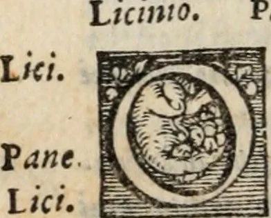 An illustration from Gli ingiusti sdegni. Comedia ... di nuovo ricorretta e ristampata, 1560, leaf 31