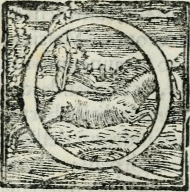 An illustration from Gl'inganni comedia, 1562, leaf 9