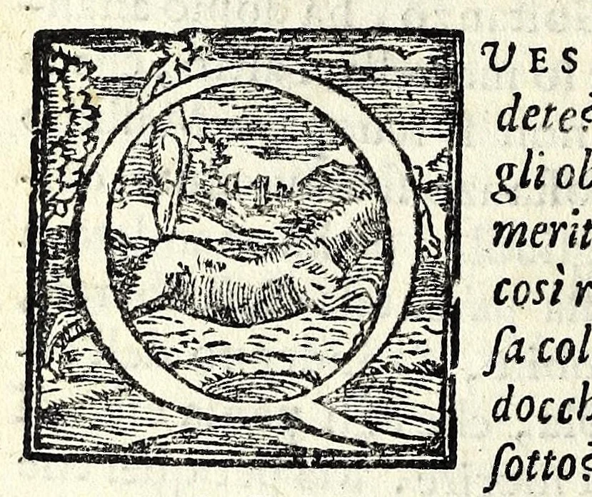 An illustration from Gl'inganni : comedia, 1584, leaf 8