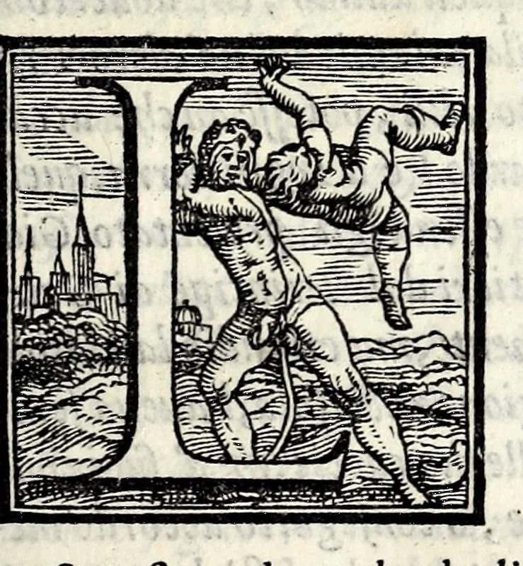 An illustration from Gli ultimi qvattro libri dell'historie d'Italia, 1572, leaf 19