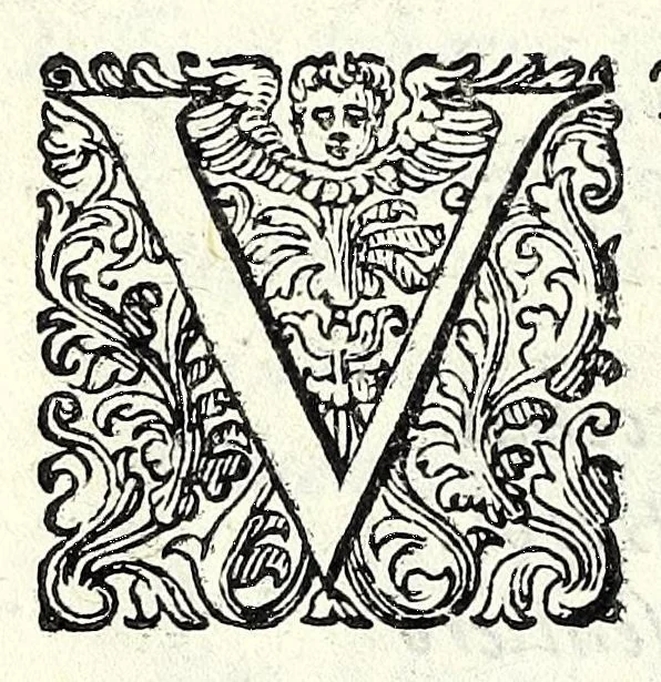 An illustration from Glorie di gverrieri e d'amanti in nvova impresa nella città di Taranto succedute, 1596, leaf 102