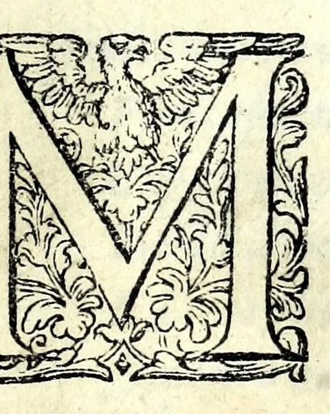 An illustration from Glorie di gverrieri e d'amanti in nvova impresa nella città di Taranto succedute, 1596, leaf 107