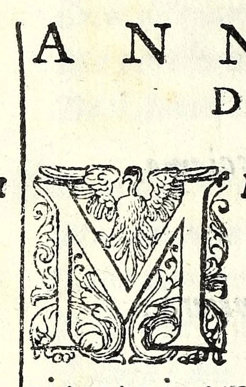 An illustration from Glorie di gverrieri e d'amanti in nvova impresa nella città di Taranto succedute, 1596, leaf 134
