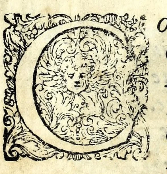 An illustration from Glorie di gverrieri e d'amanti in nvova impresa nella città di Taranto succedute, 1596, leaf 137