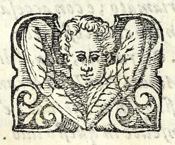 An illustration from Glorie di gverrieri e d'amanti in nvova impresa nella città di Taranto succedute, 1596, leaf 166