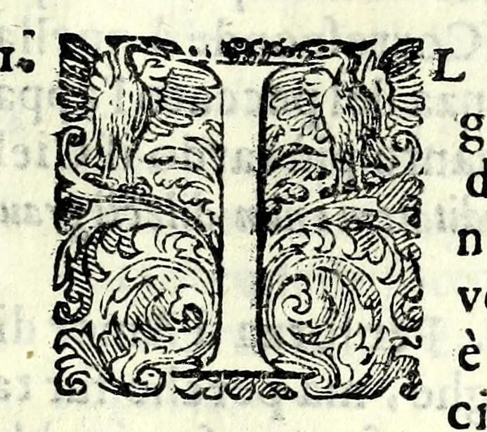 An illustration from Glorie di gverrieri e d'amanti in nvova impresa nella città di Taranto succedute, 1596, leaf 207