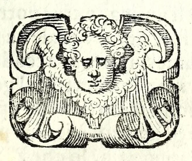 An illustration from Glorie di gverrieri e d'amanti in nvova impresa nella città di Taranto succedute, 1596, leaf 249