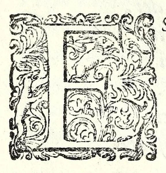An illustration from Glorie di gverrieri e d'amanti in nvova impresa nella città di Taranto succedute, 1596, leaf 250