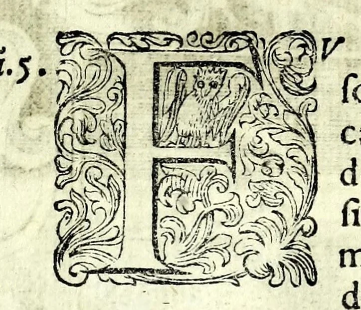 An illustration from Glorie di gverrieri e d'amanti in nvova impresa nella città di Taranto succedute, 1596, leaf 297
