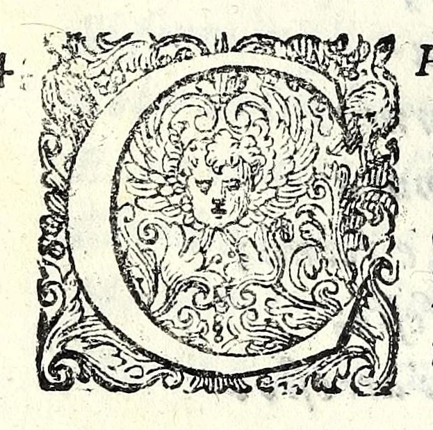 An illustration from Glorie di gverrieri e d'amanti in nvova impresa nella città di Taranto succedute, 1596, leaf 336