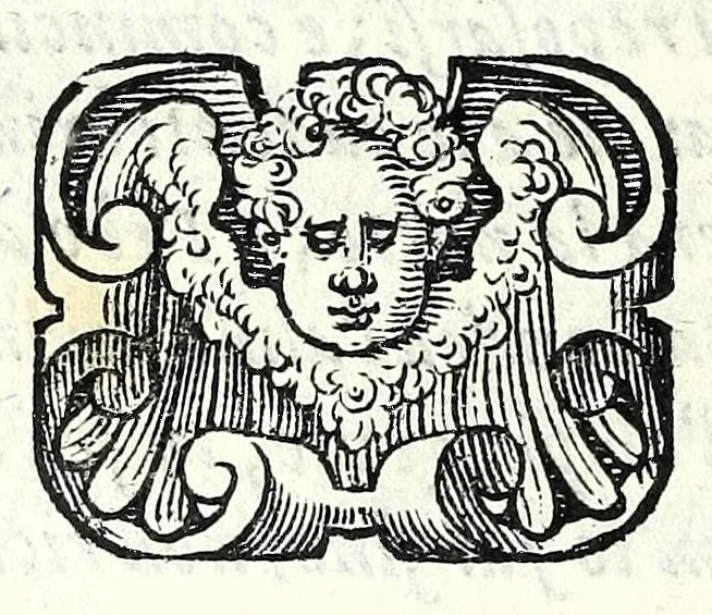 An illustration from Glorie di gverrieri e d'amanti in nvova impresa nella città di Taranto succedute, 1596, leaf 362