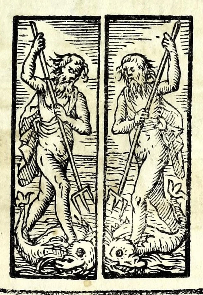 An illustration from Glorie di gverrieri e d'amanti in nvova impresa nella città di Taranto succedute, 1596, leaf 363