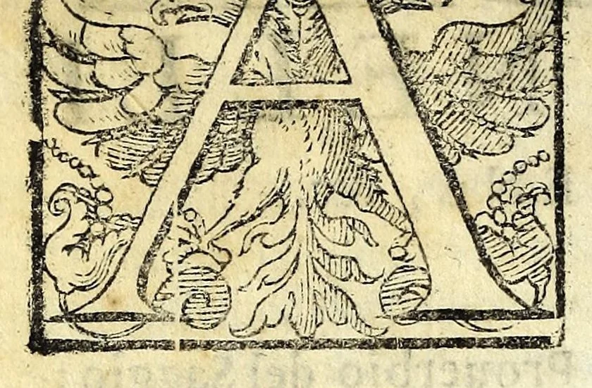 An illustration from Glorie di gverrieri e d'amanti in nvova impresa nella città di Taranto succedute, 1596, leaf 40