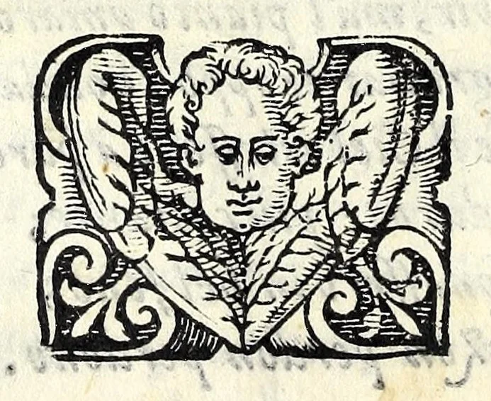 An illustration from Glorie di gverrieri e d'amanti in nvova impresa nella città di Taranto succedute, 1596, leaf 70