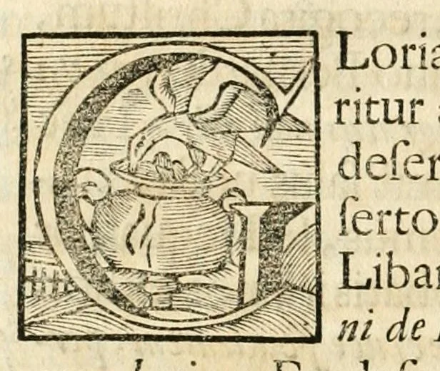 An illustration from Gloriosus Sanctus Romedius : ex comitibus de Thaur Andek, & Altae Guardiae dominis, vallis Annaniae in Tyroli apostolus, magnus thaumaturgus, & anachoreta, quem similem fecit Dominus in gloria sanctorum, & beatificavit illum in gloria (Eccli. 45) : nec non gloriosa domus comitum de Thun, illo Aggaei prophetae condecorata vaticinio, magna erit gloria domus istius (Cap. 2), 1699, leaf 156
