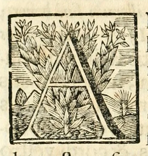 An illustration from Gloriosus Sanctus Romedius : ex comitibus de Thaur Andek, & Altae Guardiae dominis, vallis Annaniae in Tyroli apostolus, magnus thaumaturgus, & anachoreta, quem similem fecit Dominus in gloria sanctorum, & beatificavit illum in gloria (Eccli. 45) : nec non gloriosa domus comitum de Thun, illo Aggaei prophetae condecorata vaticinio, magna erit gloria domus istius (Cap. 2), 1699, leaf 168