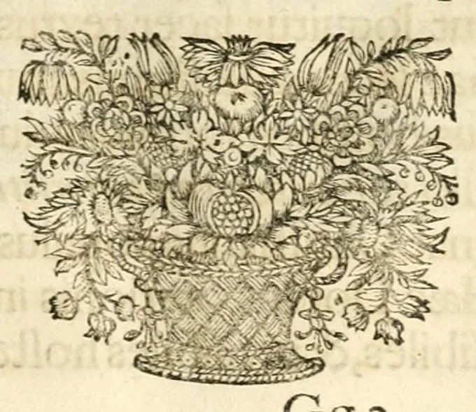 An illustration from Gloriosus Sanctus Romedius : ex comitibus de Thaur Andek, & Altae Guardiae dominis, vallis Annaniae in Tyroli apostolus, magnus thaumaturgus, & anachoreta, quem similem fecit Dominus in gloria sanctorum, & beatificavit illum in gloria (Eccli. 45) : nec non gloriosa domus comitum de Thun, illo Aggaei prophetae condecorata vaticinio, magna erit gloria domus istius (Cap. 2), 1699, leaf 171