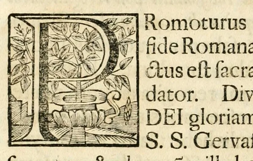 An illustration from Gloriosus Sanctus Romedius : ex comitibus de Thaur Andek, & Altae Guardiae dominis, vallis Annaniae in Tyroli apostolus, magnus thaumaturgus, & anachoreta, quem similem fecit Dominus in gloria sanctorum, & beatificavit illum in gloria (Eccli. 45) : nec non gloriosa domus comitum de Thun, illo Aggaei prophetae condecorata vaticinio, magna erit gloria domus istius (Cap. 2), 1699, leaf 172