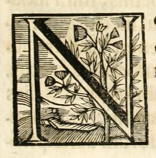 An illustration from Gloriosus Sanctus Romedius : ex comitibus de Thaur Andek, & Altae Guardiae dominis, vallis Annaniae in Tyroli apostolus, magnus thaumaturgus, & anachoreta, quem similem fecit Dominus in gloria sanctorum, & beatificavit illum in gloria (Eccli. 45) : nec non gloriosa domus comitum de Thun, illo Aggaei prophetae condecorata vaticinio, magna erit gloria domus istius (Cap. 2), 1699, leaf 203