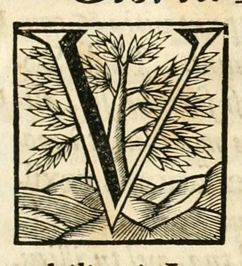 An illustration from Gloriosus Sanctus Romedius : ex comitibus de Thaur Andek, & Altae Guardiae dominis, vallis Annaniae in Tyroli apostolus, magnus thaumaturgus, & anachoreta, quem similem fecit Dominus in gloria sanctorum, & beatificavit illum in gloria (Eccli. 45) : nec non gloriosa domus comitum de Thun, illo Aggaei prophetae condecorata vaticinio, magna erit gloria domus istius (Cap. 2), 1699, leaf 38