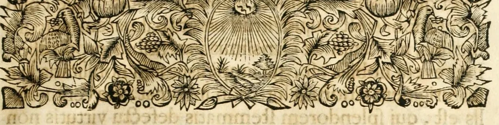 An illustration from Gloriosus Sanctus Romedius : ex comitibus de Thaur Andek, & Altae Guardiae dominis, vallis Annaniae in Tyroli apostolus, magnus thaumaturgus, & anachoreta, quem similem fecit Dominus in gloria sanctorum, & beatificavit illum in gloria (Eccli. 45) : nec non gloriosa domus comitum de Thun, illo Aggaei prophetae condecorata vaticinio, magna erit gloria domus istius (Cap. 2), 1699, leaf 43
