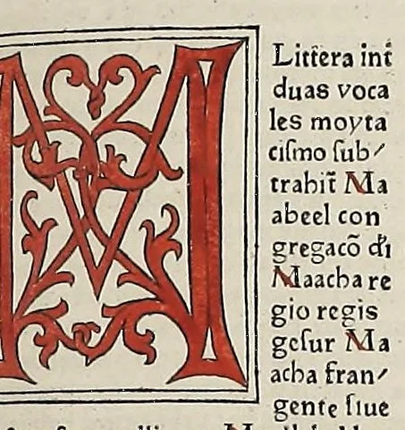 An illustration from [Glossae ex illustrissimis auctoribus collectae], leaf 255