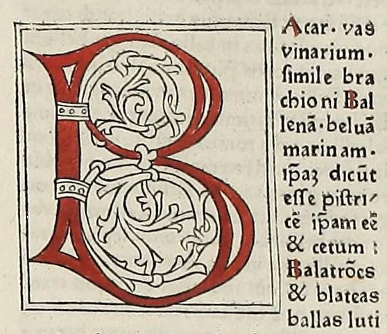 An illustration from [Glossae ex illustrissimis auctoribus collectae], leaf 505
