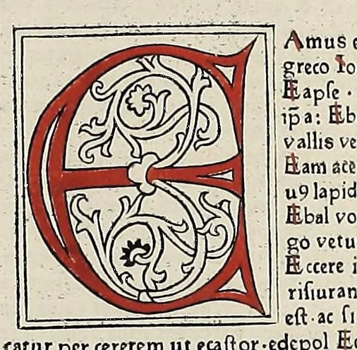 An illustration from [Glossae ex illustrissimis auctoribus collectae], leaf 530