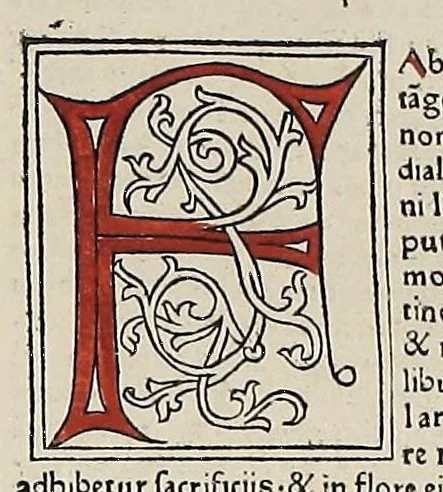 An illustration from [Glossae ex illustrissimis auctoribus collectae], leaf 533