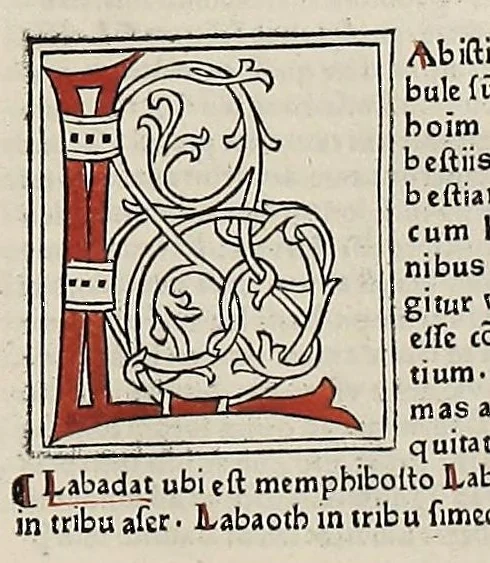 An illustration from [Glossae ex illustrissimis auctoribus collectae], leaf 545