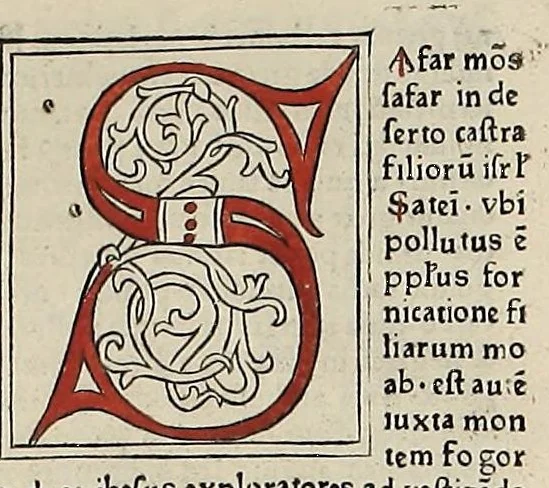 An illustration from [Glossae ex illustrissimis auctoribus collectae], leaf 576