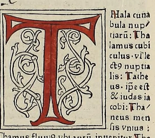 An illustration from [Glossae ex illustrissimis auctoribus collectae], leaf 584