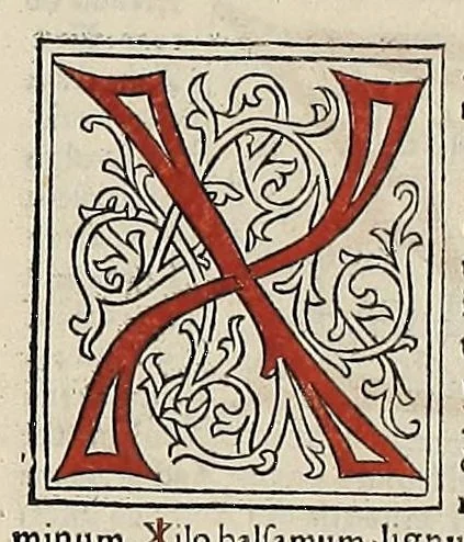 An illustration from [Glossae ex illustrissimis auctoribus collectae], leaf 585