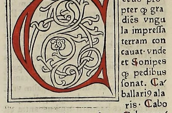 An illustration from [Glossae ex illustrissimis auctoribus collectae], leaf 62